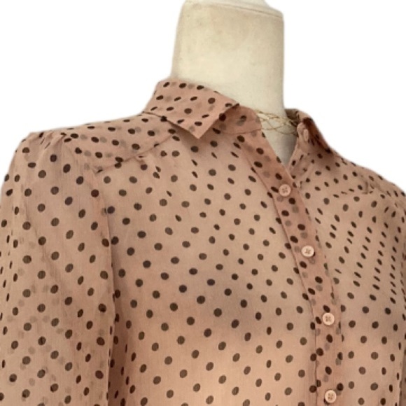 REISS Blouse Semi Sheer Button Front Polka Dot Blouse in Blush and Black - Picture 9 of 10